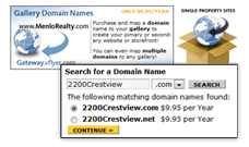 Domain Plus